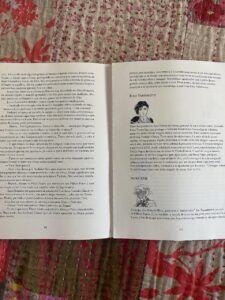 Fotos de um dos livros que chegaram danificados da gráfica/ Foto: Acervo pessoal da escritora Lúcia Lemos